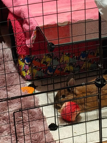 Customer photo review of CT7808 1 Pieza De Casa-Cama