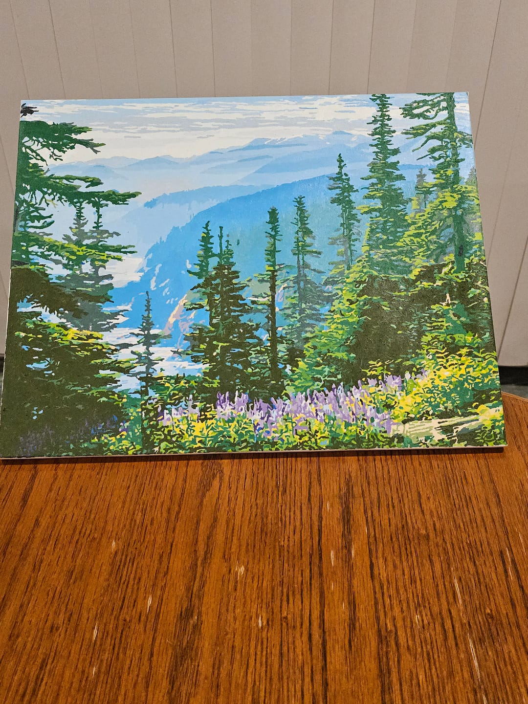 Customer photo review of Olympic National Park
