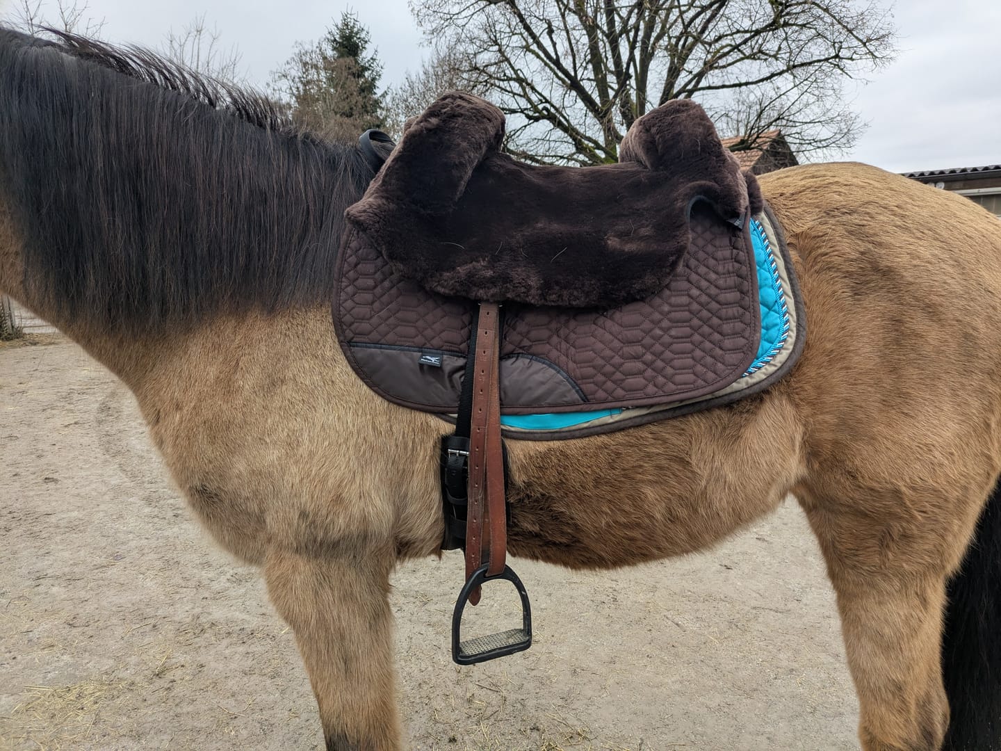Customer photo review of Engel - Fellsattel Lammfell inkl. Distanzgewebe
