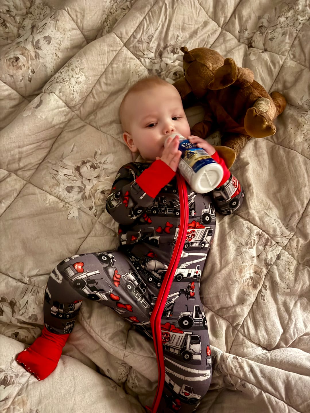 Customer photo review of Grey Loads of Love Snoozer