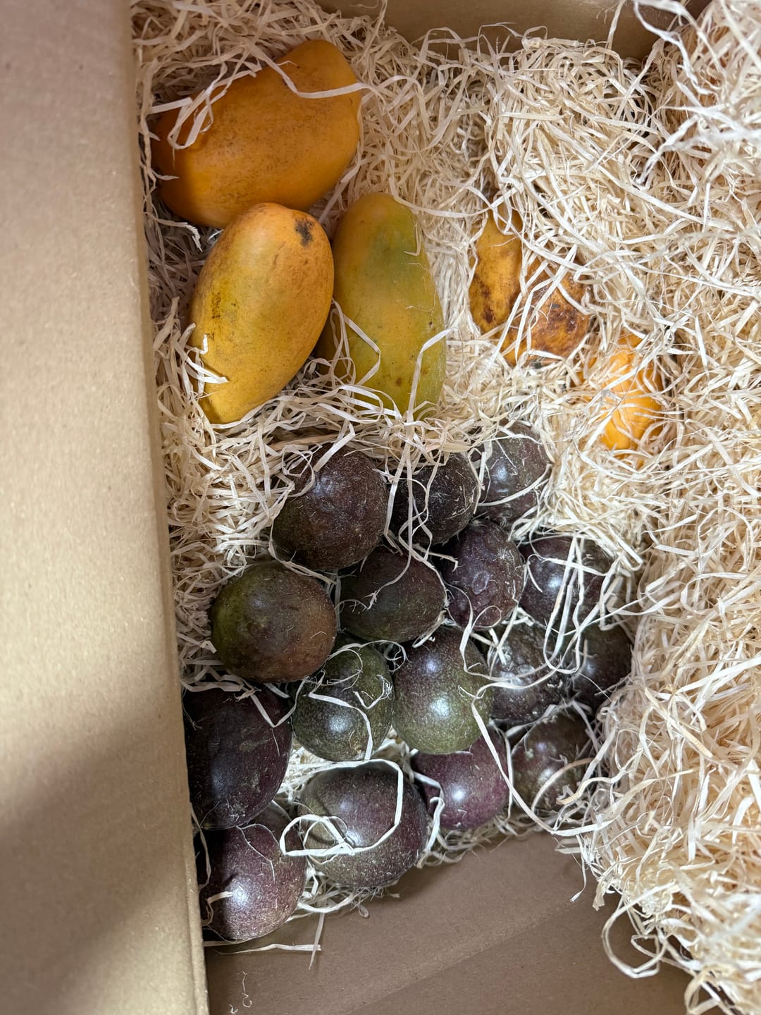 Customer photo review of Mango Honig „Ataulfo“ Bio von Joe Roman baumgereifte Flugware