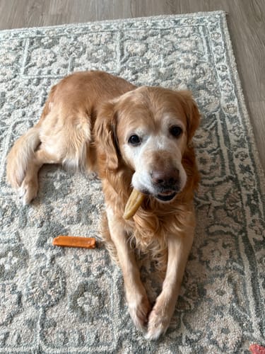 Customer photo review of Strawberry Yak Chews One Size Fits All