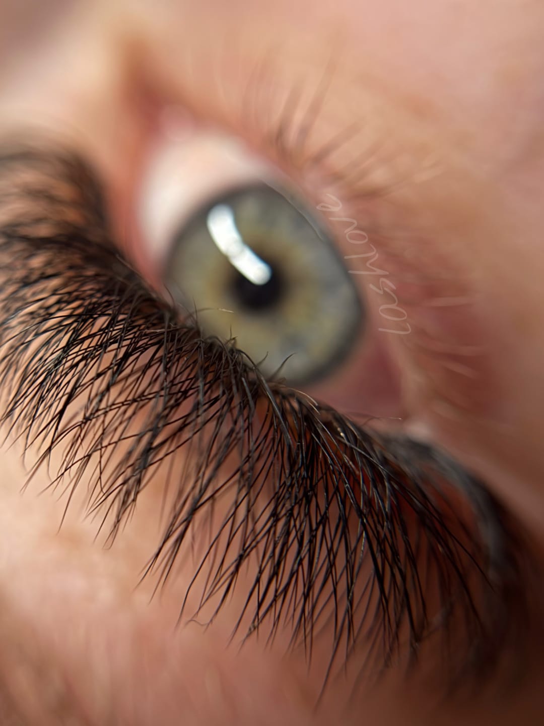 Customer photo review of Fertig Fächer W Lashes XXL Box 5200Fächer