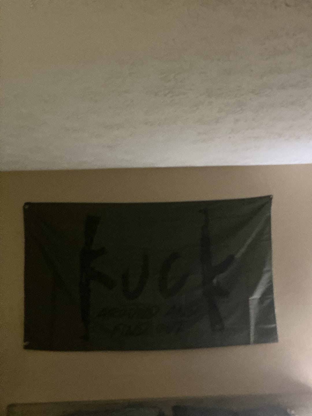 Customer photo review of Fck Around And Find Out Flag