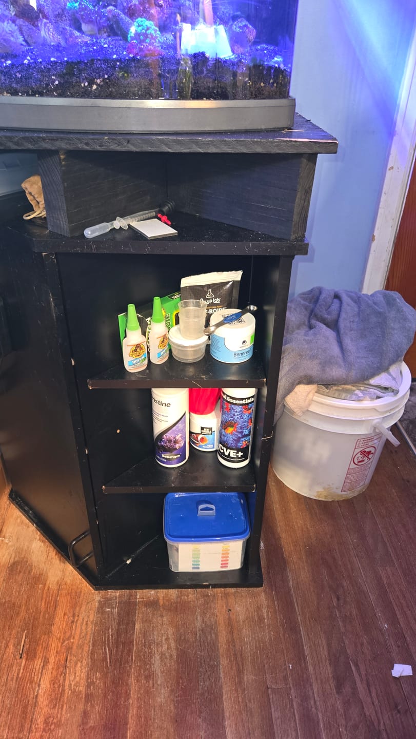 Customer photo review of Coral Essentials CVE+