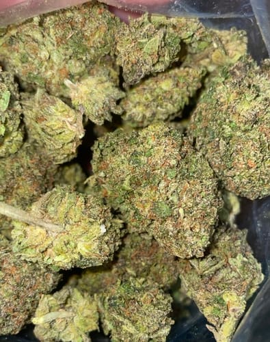 Customer photo review of Oreoz - Bulk - Indica