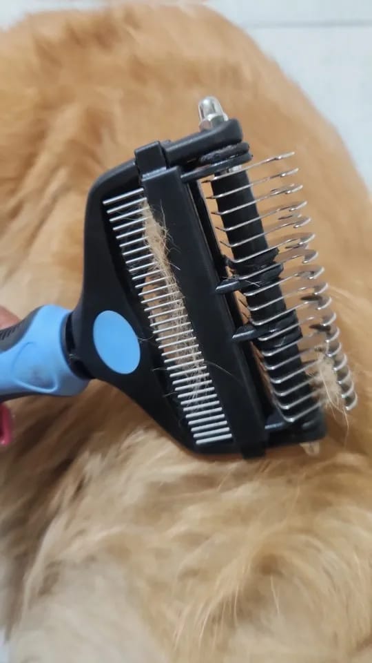 Customer photo review of 3-in-1 Pet Hair Removal Brush