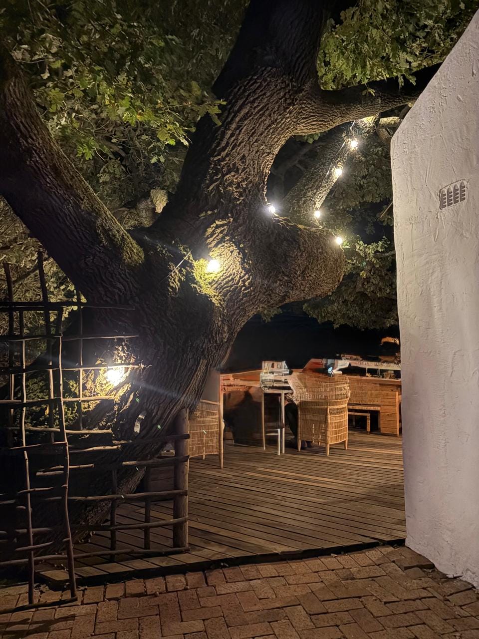 Customer photo review of Solar Festoon Bulb String Lights