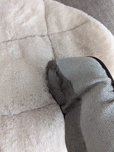 Customer photo review of Magic Fur Magnet