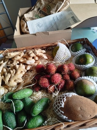 Ein Kunde zeigt seine gelieferte Lucuma-Frucht in einem Korb zusammen mit anderem exotischen Obst.