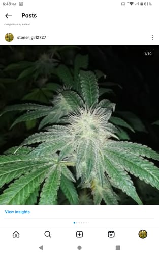 Customer photo review of Biscotti Cake - 28 Grams - Hybrid