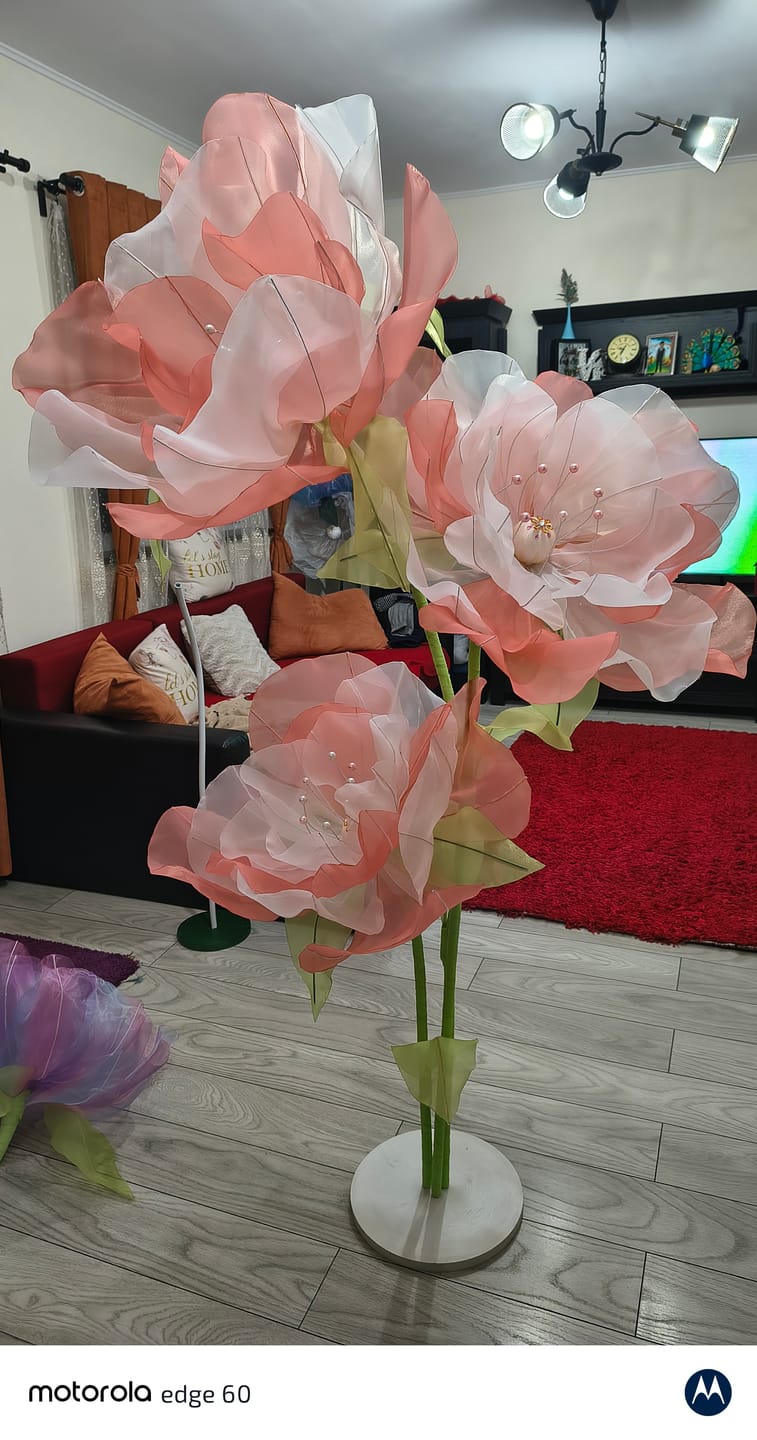 Customer photo review of Organza Sidefata Roz Coral -  3 m Latime
