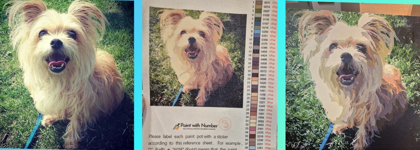 Customer photo review of Custom Paint by Numbers Kit