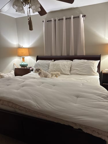 Customer photo review of MarshMellow Comforter