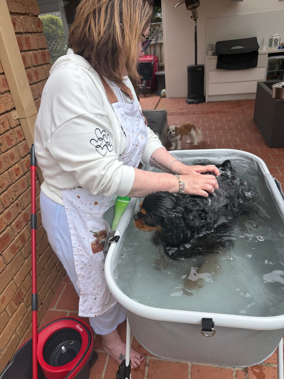 Customer photo review of Dog Wash Bathtub - Foldable & Adjustable Height