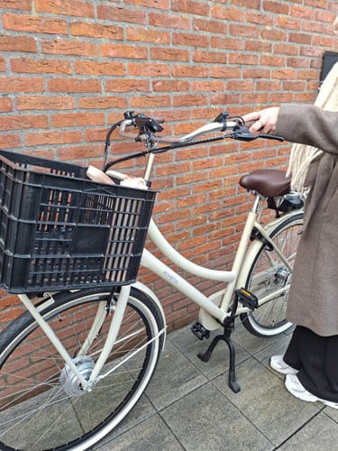 Customer photo review of E-Cargo N3