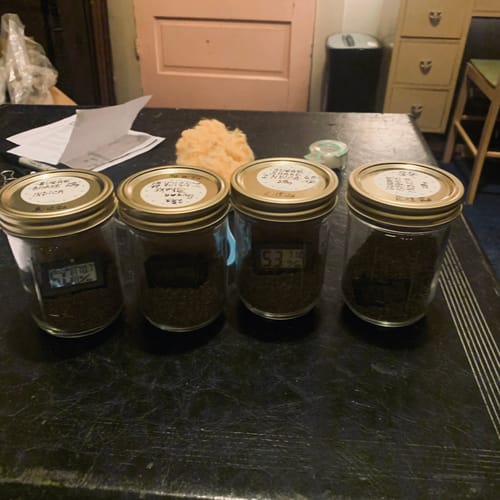 Customer photo review of Zour Stash Berry Blast HashHole