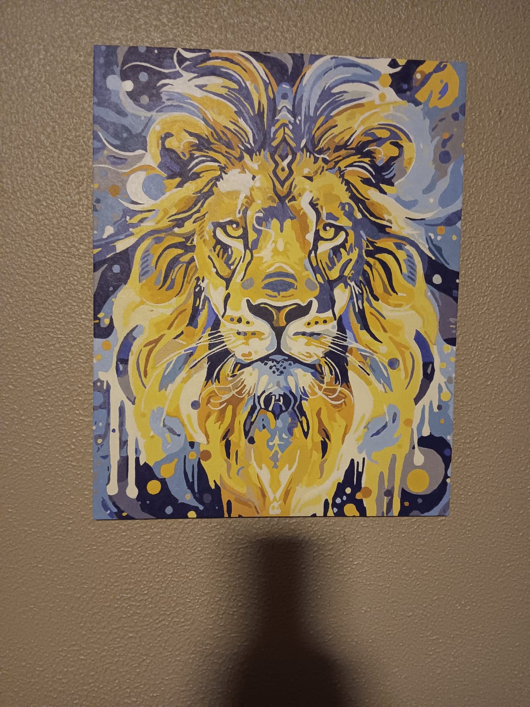 Customer photo review of Starlit Contemplation