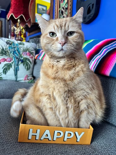 Customer photo review of Mama Told Me | 1000 Piece Puzzle