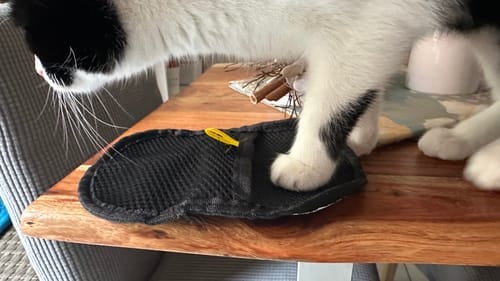 Customer photo review of Magic Fur Magnet
