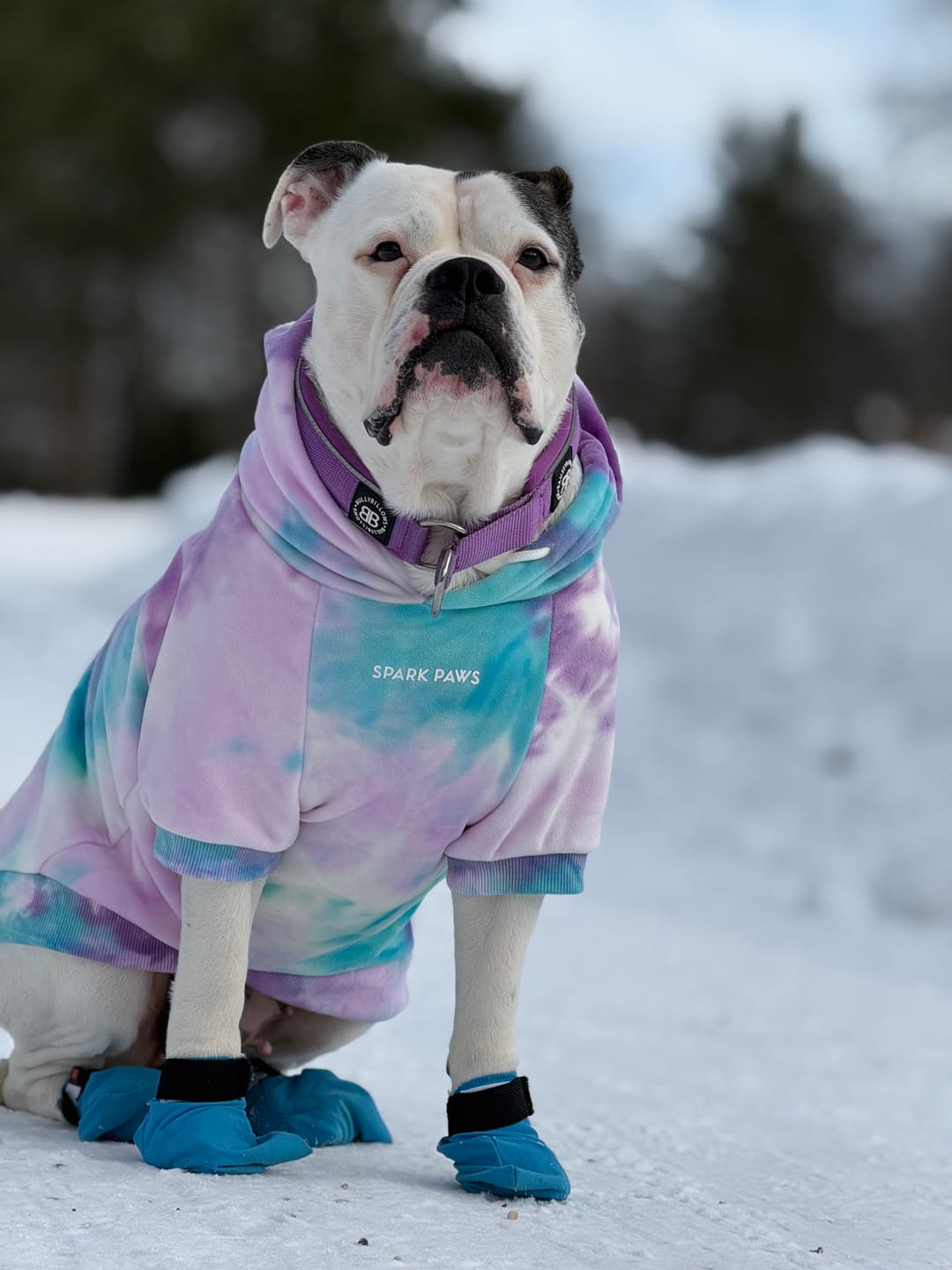 Customer photo review of Velvet Dog Hoodies