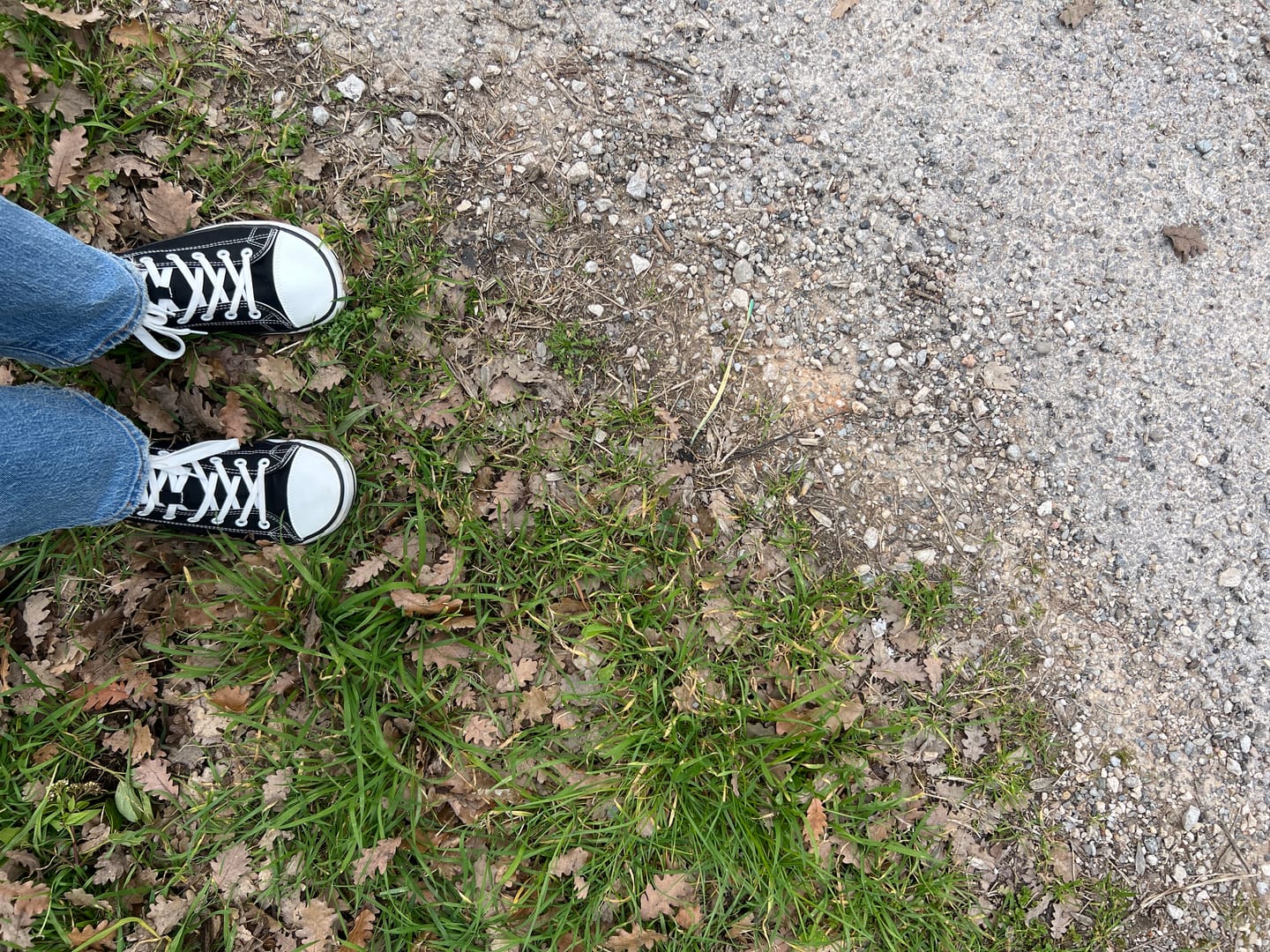 Customer photo review of Roam I - Barefoot Chaussures