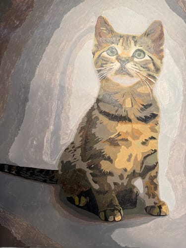 Customer photo review of Custom Paint By Numbers - Personalized Pet Portraits