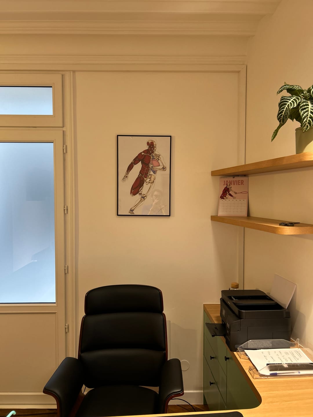 Customer photo review of Planche anatomique du Rugby