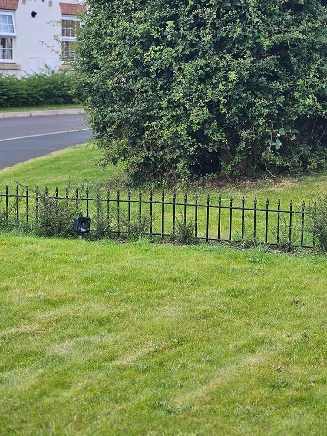 Customer photo review of Metal Garden Fence 60×60cm, 5 Panels (3m), No-Dig Dog & Flower Bed Fence