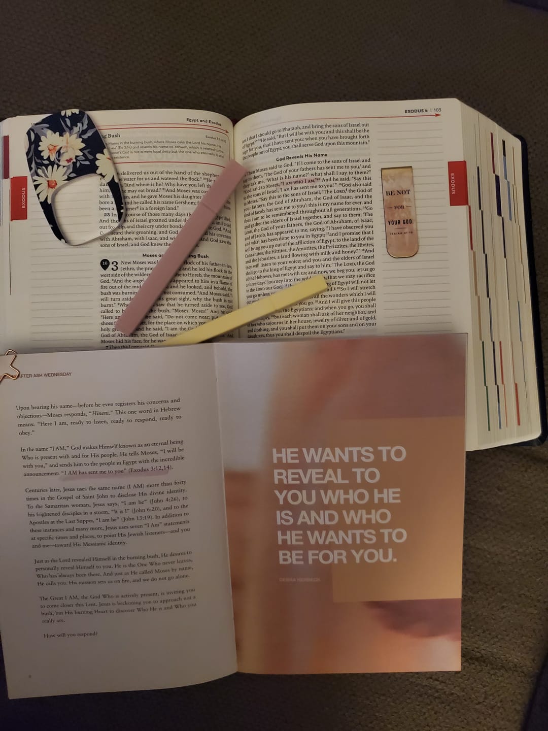Customer photo review of Who Do You Say That I Am: A Catholic Lent Devotional by Debra Herbeck