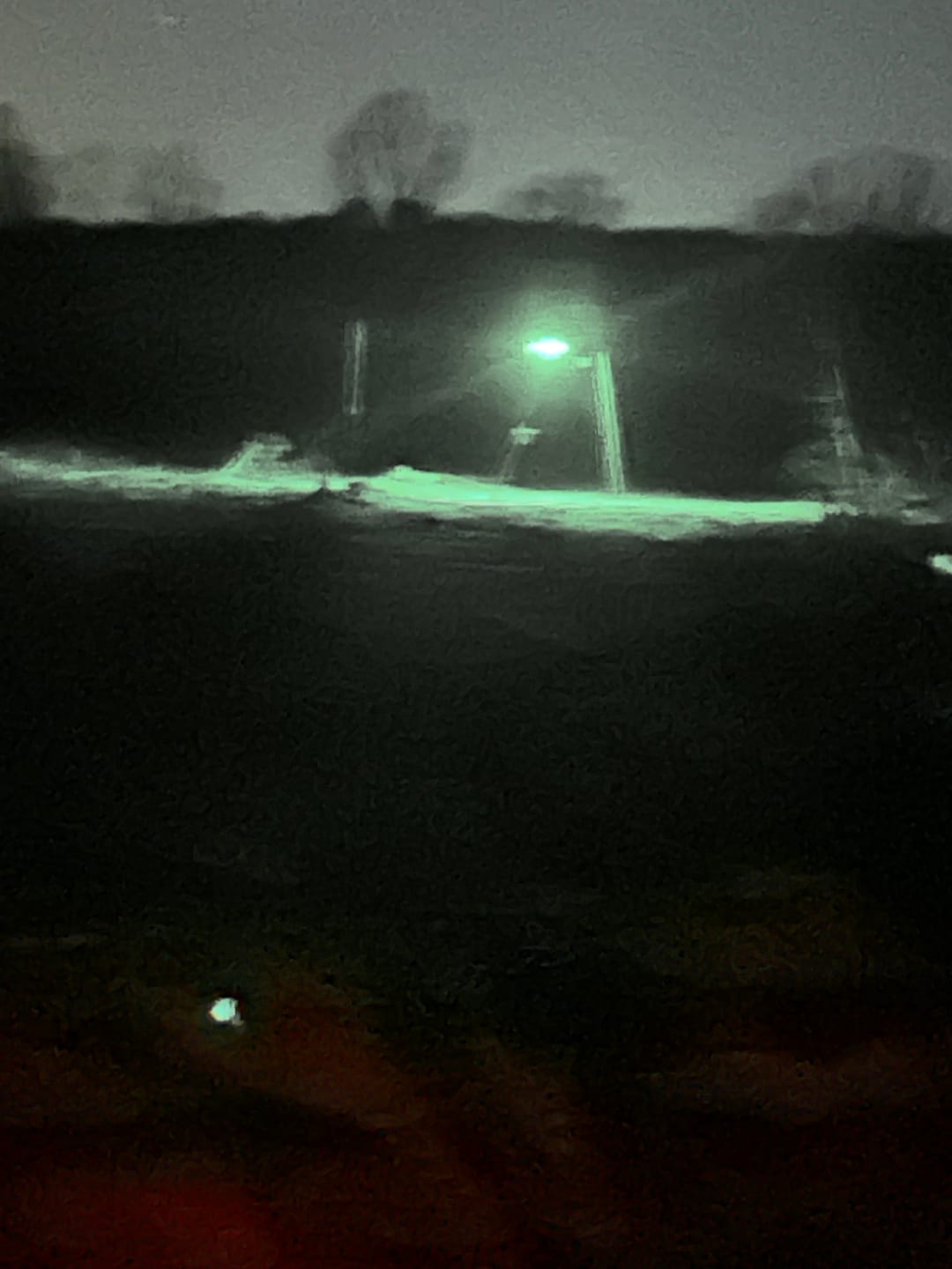 Customer photo review of Solar Green Feeder Light for Hunting -10,000 lumens (2 Pack)