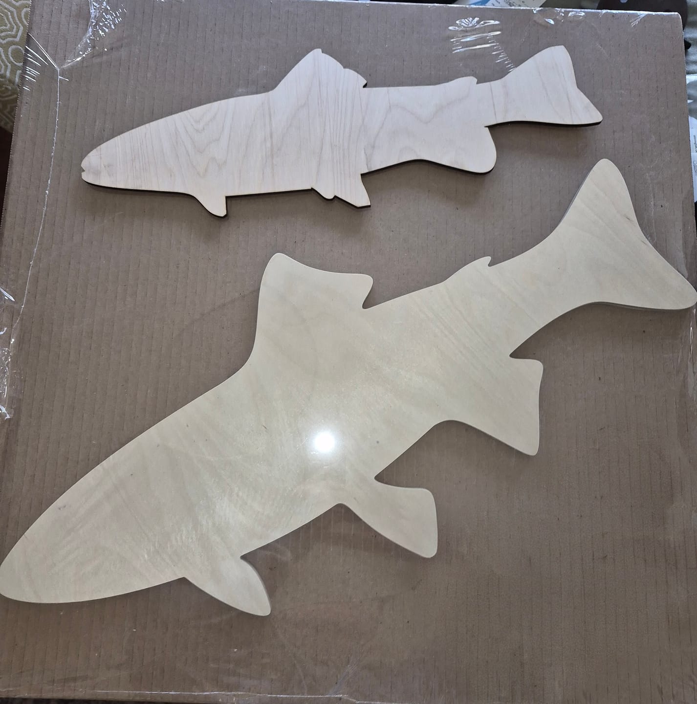 Customer photo review of Bigger Better | Unfinished Wood Trout Fish Shape |  DIY Craft Cutout
