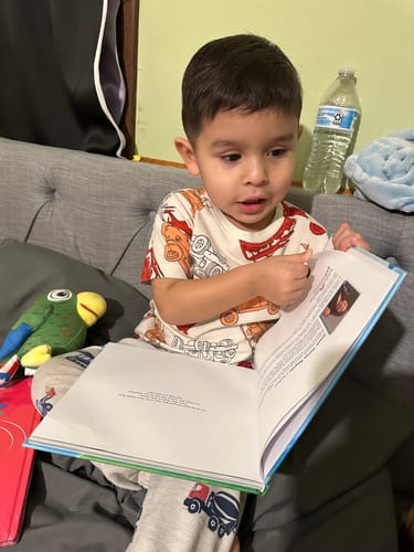 Customer photo review of Bori: A Vuelo de Pájaro | Libro Bilingüe