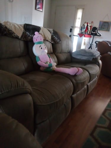 Customer photo review of 1x Blisso Advanced Cat Probiotic