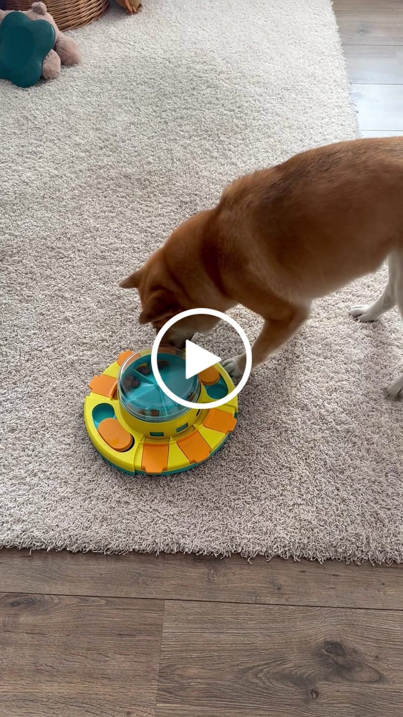 Customer video review of Wurmtest Basic Hund