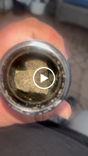 Customer video review of Pine Park Blueberry Haze Premium Hemp Flower