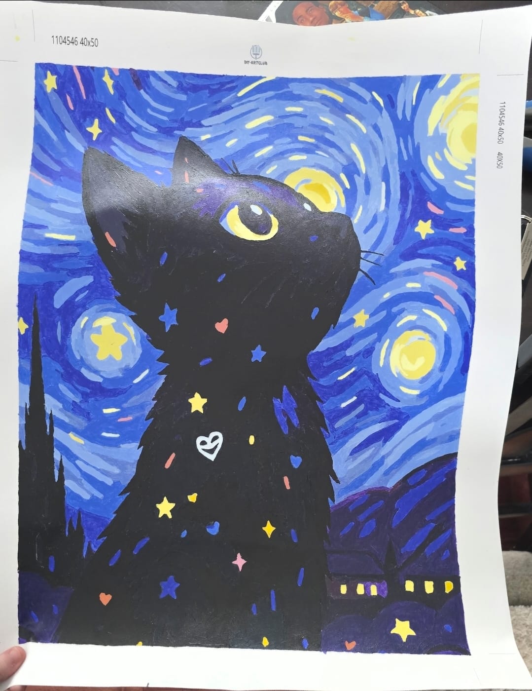 Customer photo review of Cat at the Starry Night | Paint by Number