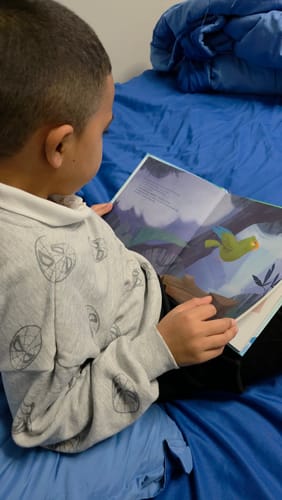 Customer photo review of Bori: A Vuelo de Pájaro | Libro Bilingüe