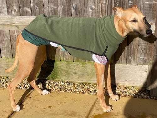 Customer photo review of Fleece Sighthound Base-Layer Coat with Underbelly and Snood