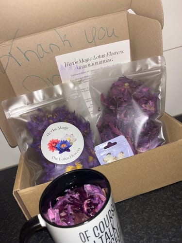 Customer photo review of PRE ORDER Red Lotus Flower (Nymphaea rubra)