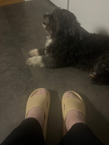 Customer photo review of HappyFlops