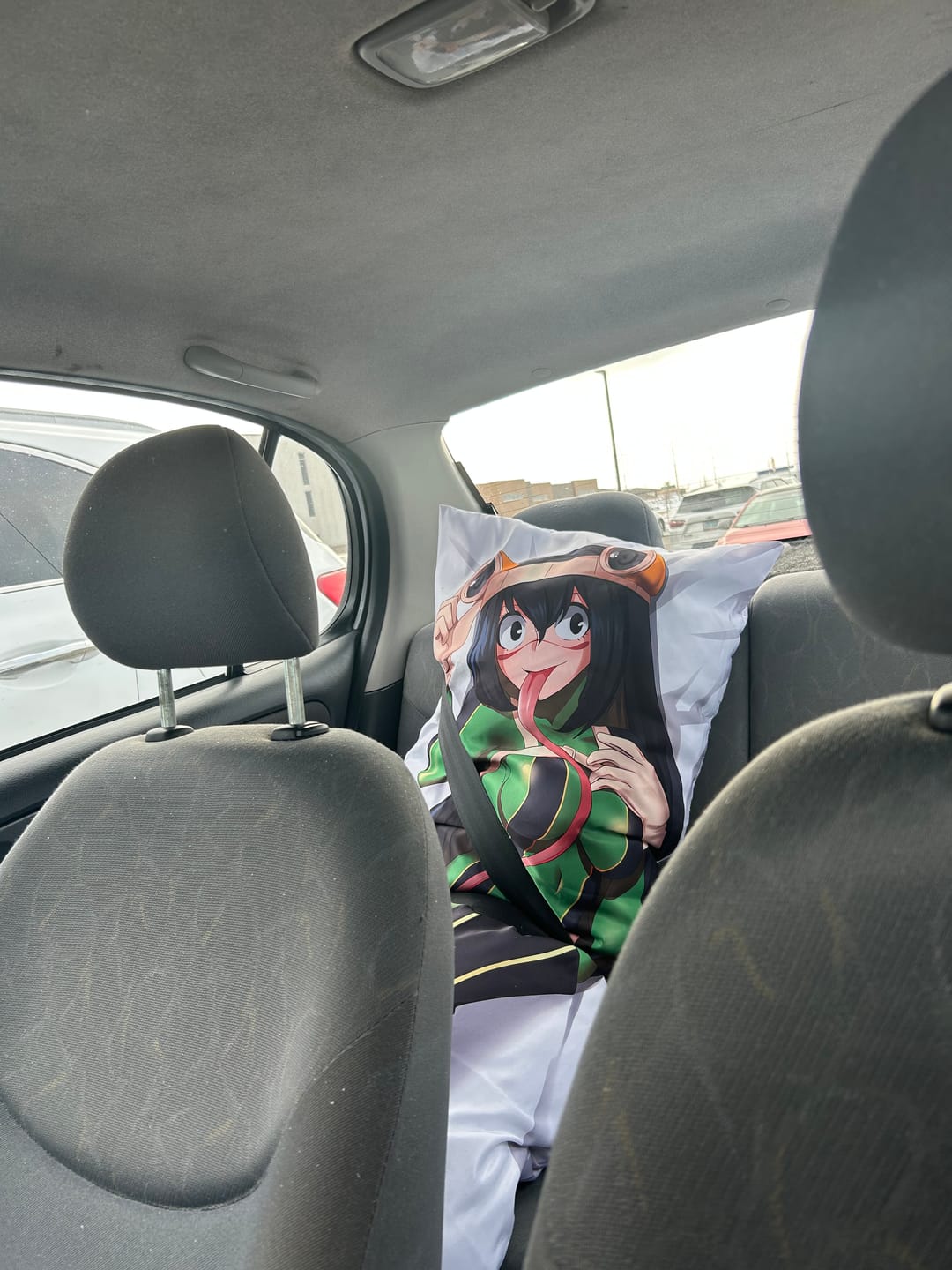 Customer photo review of Froppy Body Pillow  Tsuyu My Hero Academia