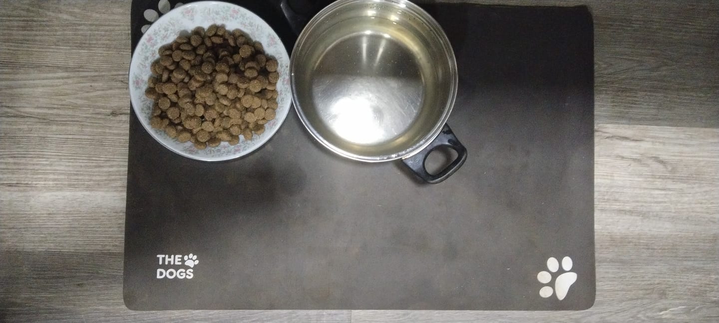 Customer photo review of Mat Absorbente para Alimentación — Absorbe derrames al instante