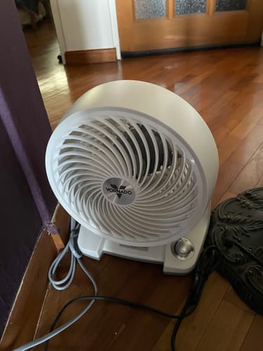 Customer photo review of ^- Small Room's Best Fan - NEW -^  Vornado 533DC (Small) Circulator