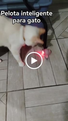 Customer video review of CT1701 1 Pieza de Juguete Pelota Inteligente Recargable Para Mascota