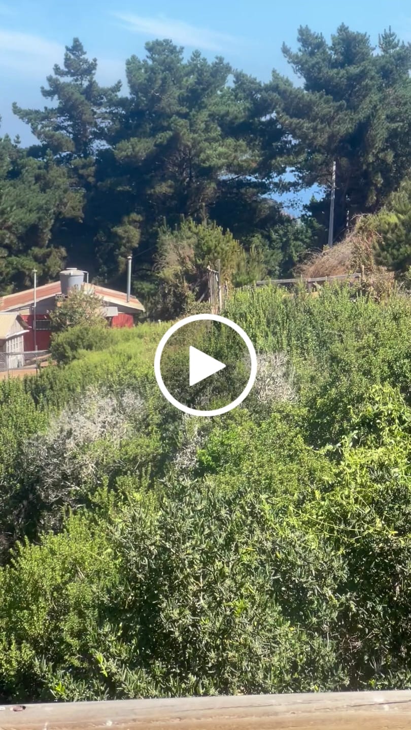 Customer video review of Parlante Bluetooth Portátil Blik Hypebox 100W IPX5 10 Hrs
