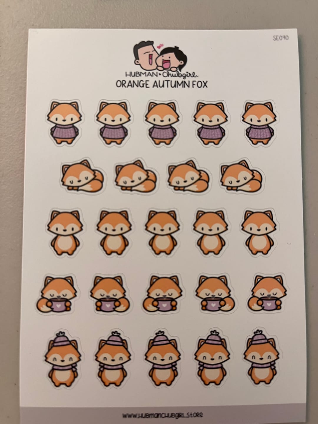 Customer photo review of Orange Autumn Fox Planner Stickers