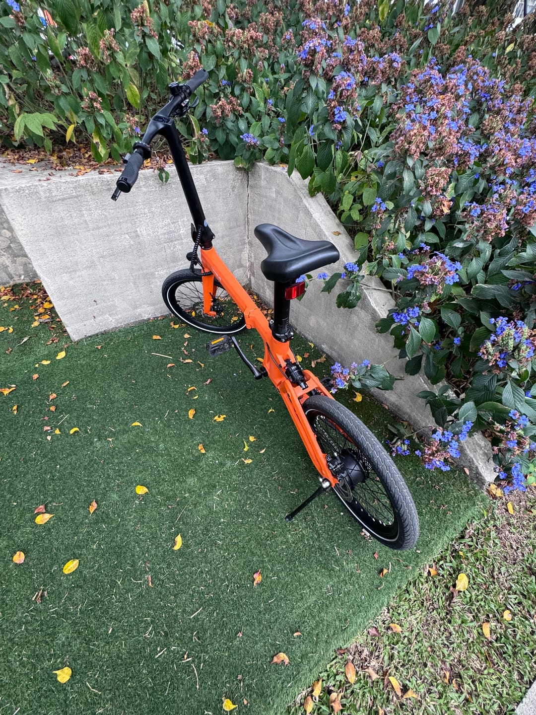 Customer photo review of Tezeus Swift