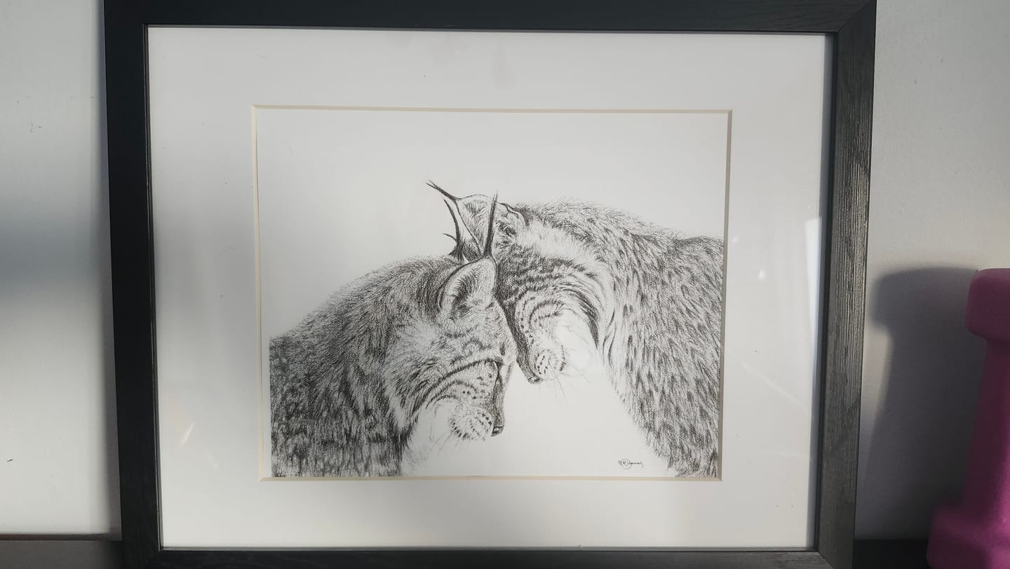 Customer photo review of CHOICE - One 8x10 print + 2 items
