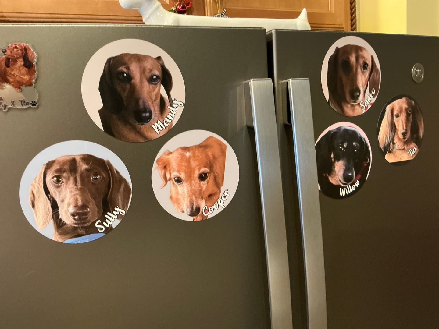 Customer photo review of Your photo - Personalized Car Magnet